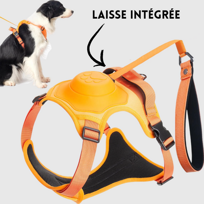 WoofSecure® | Harnais Anti-traction